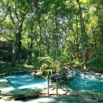 森の温泉
